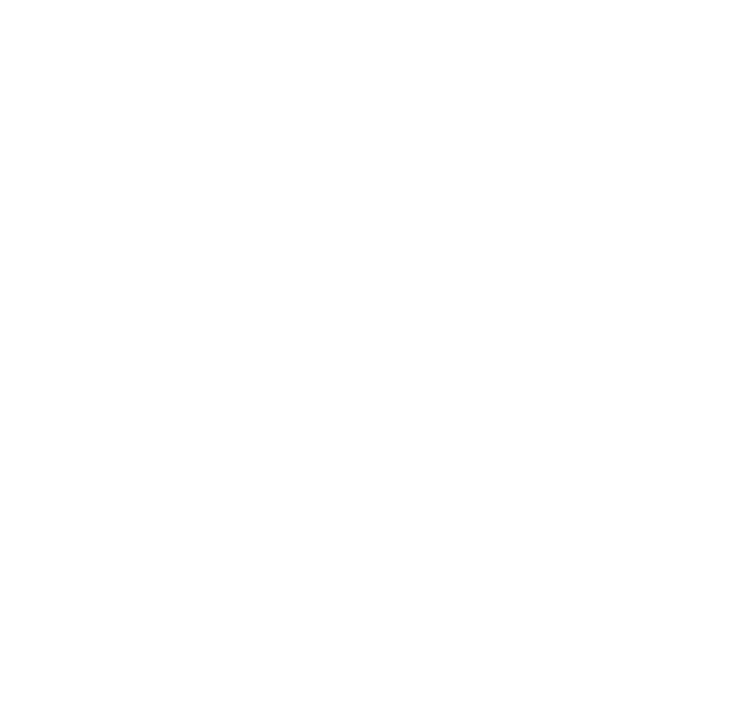 Micron Windows